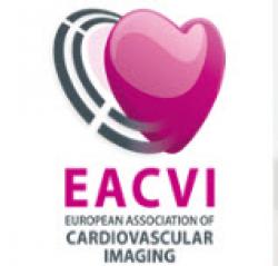 Standardized reporting of adult echo parameters